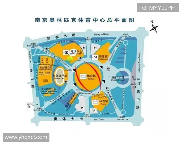 南京网球队在世界锦标赛中的精彩表现与实力分析